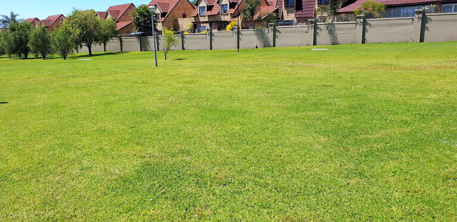 753231_2.jpg